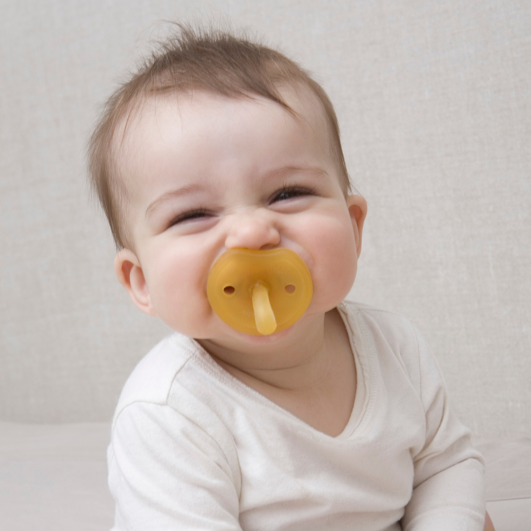 Natursutten Orthodontic Pacifier with Butterfly Shield (Set of Two)
