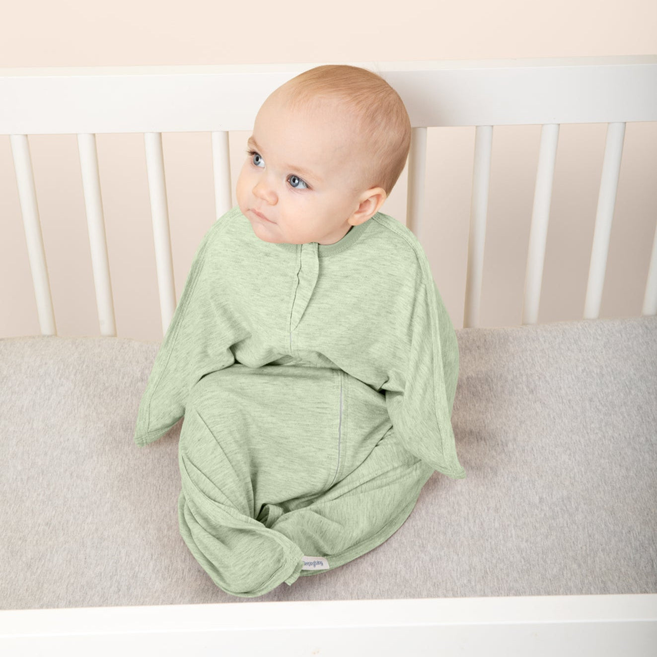 #color_zen-garden-green