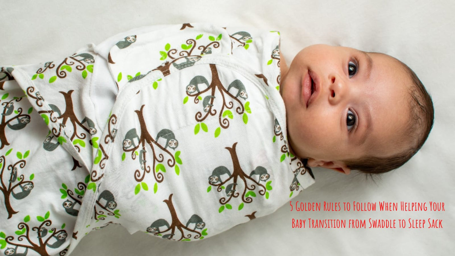 5 Golden Rules to Follow When Helping Your Baby Transition from Swaddle to Sleep Sack Hero Image