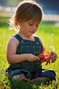 enjoying summer on the grass