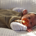 Load image into Gallery viewer, Natursutten Butterfly Shield Pacifier (Set of Two) - Blooming Baby
