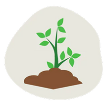 All-Natural + Sustainable
