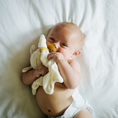 Load image into Gallery viewer, 100% Cotton PaciPixy Comforter

