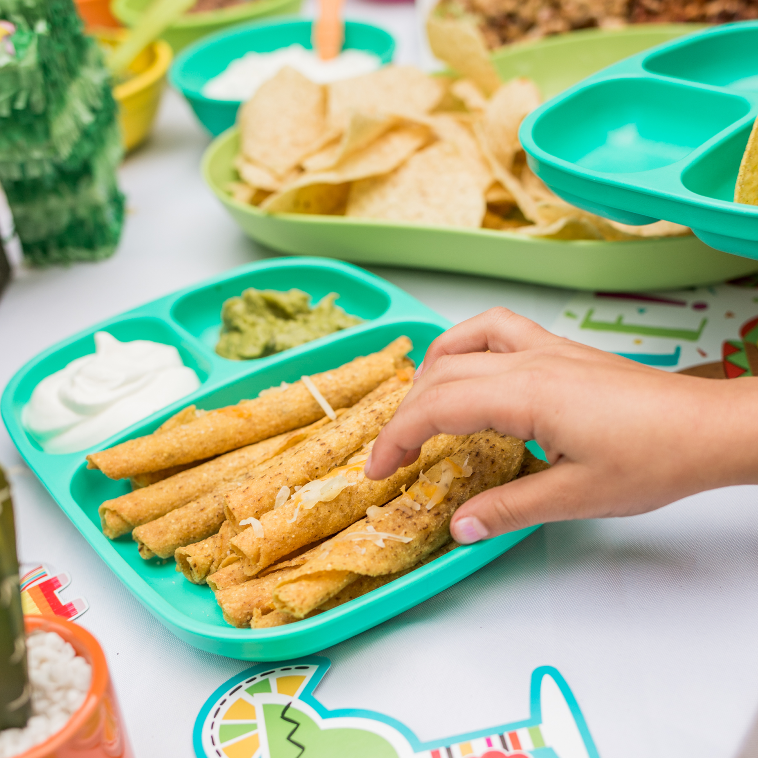 Divided Tray USA Made from Recycled Materials