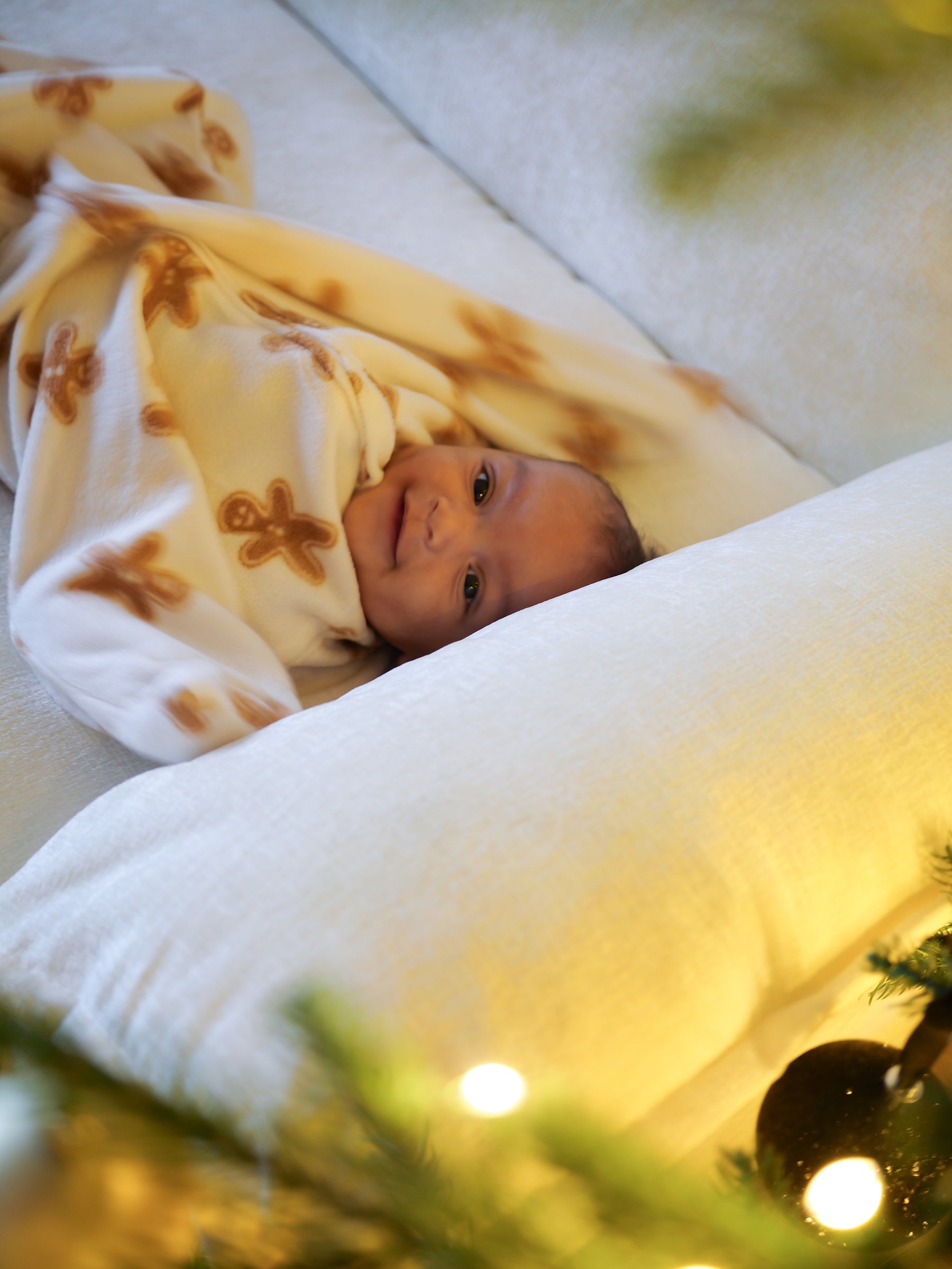 Gingerbread Zipadee-Zip Swaddle Transition - Fleece